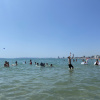 Zielona Szkoła 2 dzień - 2025